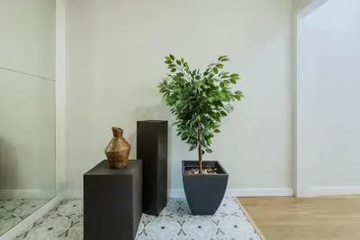 a potted plant sitting on a floor next to a wall at Apartamento exclusivo en Sant Antoni in Barcelona