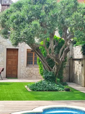 a tree in front of a house with a yard at Alojamiento independiente de invitados el Olivo in El Prat de Llobregat