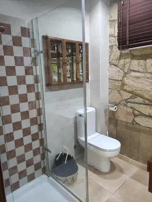 a bathroom with a toilet and a shower at Alojamiento independiente de invitados el Olivo in El Prat de Llobregat