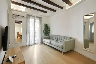 a living room with a couch and a television at 17 Nice apartment next to El Molino in Barcelona