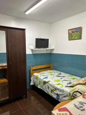 a bedroom with a bed and a tv on a wall at Estudio sants numero 3 in Hospitalet de Llobregat