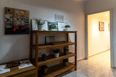 a shelf in a room with potted plants on it at Bonito apartamento Camp Nou in Barcelona