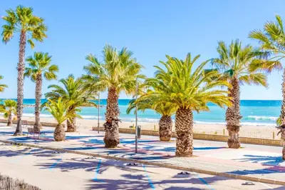 a row of palm trees on the beach at Frente a mar salida directa playa solo 30M agua in Cubelles
