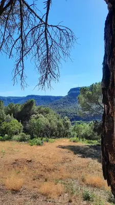 a view of a field with trees in the distance at La Garsa in Aiguafreda