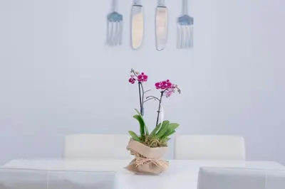 a vase with purple flowers sitting on a table at Apartamento Gaudí-Sant Pau in Barcelona
