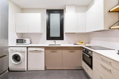 a white kitchen with a sink and a dishwasher at Lodging Apartments Entenca in Barcelona