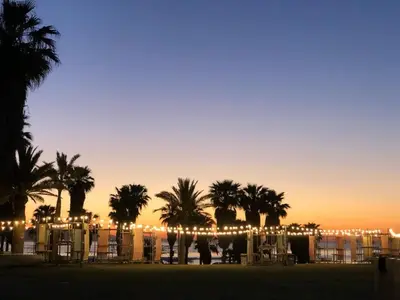 a group of palm trees and a beach with lights at 15 min en metro a Sagrada Familia in Sant Adria de Besos