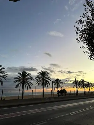 a road with palm trees on the side of a beach at Vilador Barcelona Beach Hotel in Masnou