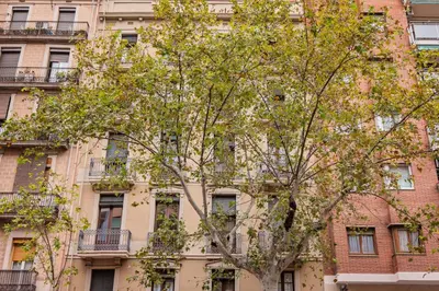 a building with a tree in front of it at Sweett - Urgell Eixample in Barcelona