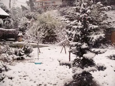 a snow covered yard with a christmas tree at L'AMAGATALL DEL MONTNEGRE in Villalba Saserra