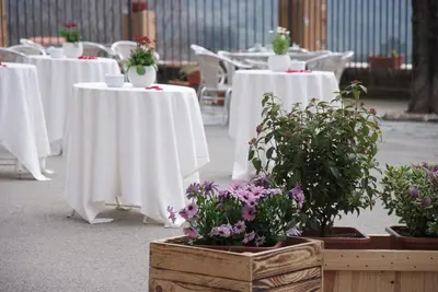 a row of tables with white clothed tables with flowers at Hostal Montserrat in Montseny