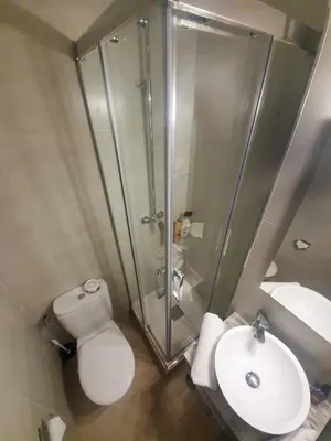 a bathroom with a shower and a toilet and a sink at Josep Tarradellas 80 in Barcelona
