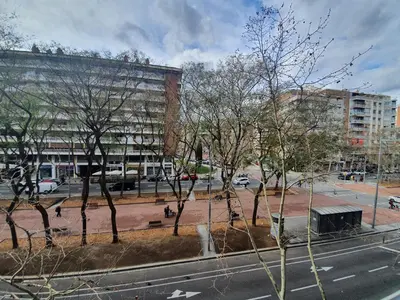 a city street with trees in front of a building at Josep Tarradellas 80 in Barcelona
