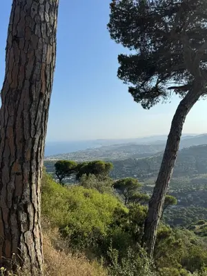 a view from the top of a hill with two trees at INSPIRA MAISON Montaña y Mar in Teià