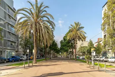 a palm tree lined street in a city at Canela Homes BARCELONA FÒRUM in Sant Adria de Besos