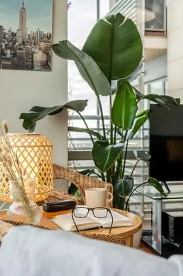 a table with a plant and glasses on it at Canela Homes BARCELONA FÒRUM in Sant Adria de Besos