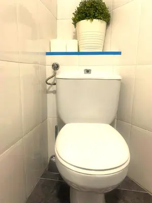 a bathroom with a toilet with a plant on a shelf at L5 Metro Stadium Home in Hospitalet de Llobregat