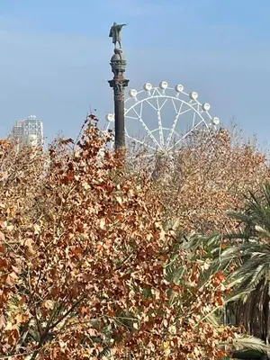 a ferris wheel in the background with a tree at Apartments BCN Central-Colon in Barcelona
