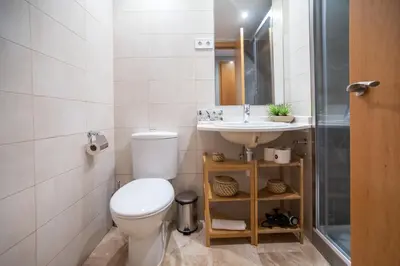 a bathroom with a toilet and a sink and a shower at 13MAL1077- Magnific 2BR flat in Barcelona