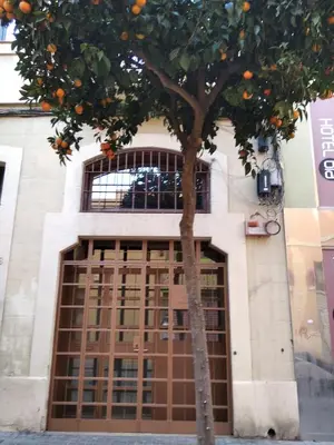 an orange tree in front of a building at ApartEasy - MONUMENT, large, cosy apartment in Barcelona