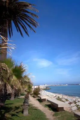 a row of benches on a beach with a palm tree at Romantisches Fischerhaus am Meer, 200 m vom Strand, Barcelona in Premiá de Mar