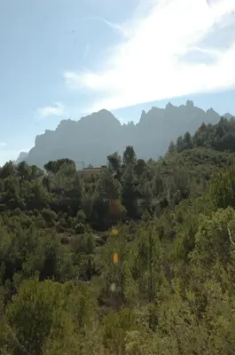 a view of a forest with mountains in the background at Climbers Cabin in Marganell