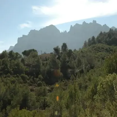 Climbers Cabin