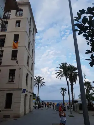 a building on the side of a street with palm trees at Beachfront apartment Barceloneta Street in Barcelona