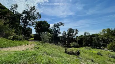 a dirt road through a grassy field with trees at Villa Exclusiva 12 Personas con Piscina, Barbacoa y Vistas al Mar en Maresme Barcelona in Sant Vicenç de Montalt