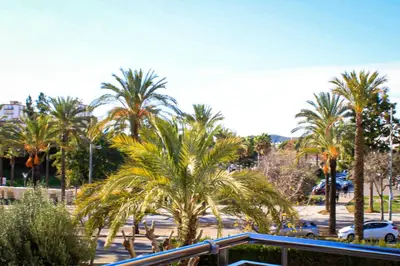 a group of palm trees in a parking lot at Apartamento Sitges Can Robert in Sitges