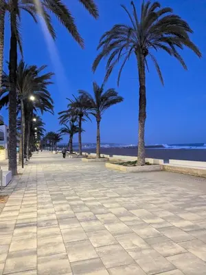a sidewalk with palm trees on the beach at La CASA BLAVA in Cubelles