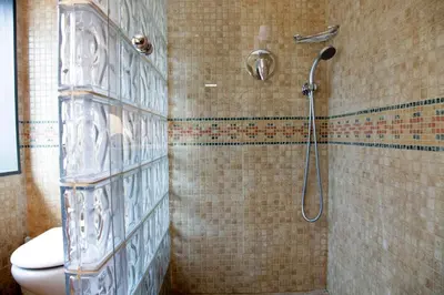 a bathroom with a shower and a toilet in it at Hotel Iris in Granollers