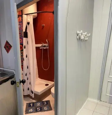 a bathroom with a shower and a toilet in it at Tessasapartments Sabadell 4 in Sabadell