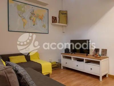 a living room with a couch and a tv at Great and nice 1 bedroom apartment close to Camp Nou in Barcelona