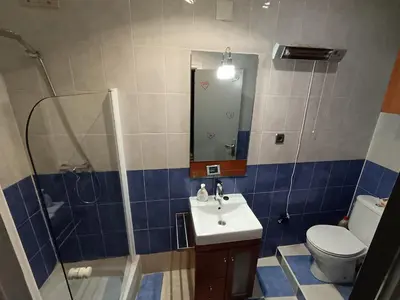 a bathroom with a sink and a shower and a toilet at Ca la Fiona in Monistrol