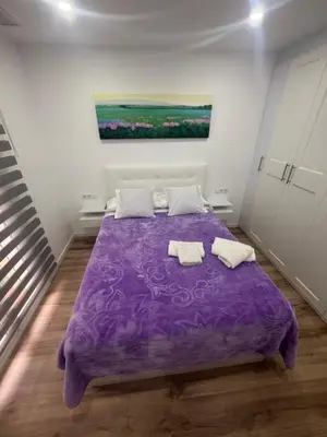 a bedroom with a purple bed with two pillows at Apartamento Plaza España - Bordeta BCN in Barcelona