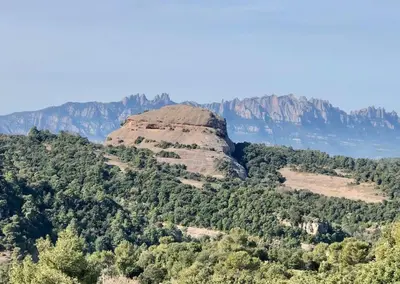 a mountain in the middle of a forest at Ca la Neus - Casa per 8 persones al poble de Mura in Mura
