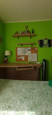a green bedroom with a desk and a green wall at Alojamiento entero luminoso y bien ubicado en Terrassa Barcelona 3habitaciones 2baños in Terrassa