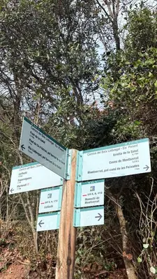 a sign with arrows on a wooden pole at Casa Añeja in Collbató