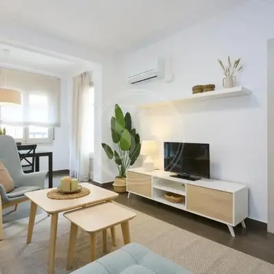 Céntrico apartamento
