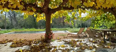 a tree with leaves on the ground next to a table at A Country and Vineyard Retreat in San Martín Sarroca