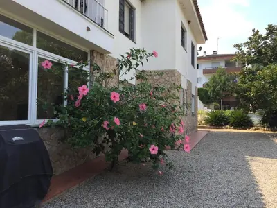 a bush of pink flowers on the side of a building at Casa Feliz del Mar in San Pol de Mar