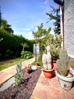 a group of cactuses and plants in a garden at Sitges Garden Suite in Sitges