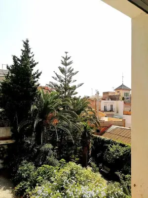 a view of a garden with trees and plants at Acogedor apartamento en el centro de Sitges in Sitges