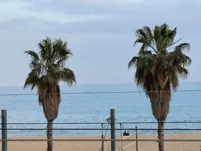 two palm trees on a beach near the ocean at Casa con vistas al mar y jardín in Canet de Mar