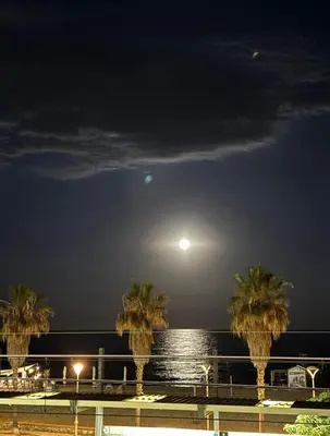 a view of the ocean at night with palm trees at Casa con vistas al mar y jardín in Canet de Mar
