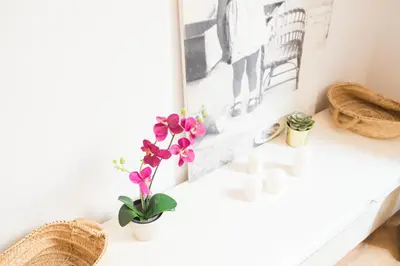 a vase with flowers on a counter in a room at Central apartment in Sant Antoni in Barcelona