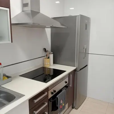 a kitchen with a refrigerator and a sink at Apartamento Castellet1 in San Vicente de Castellet