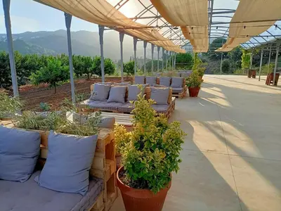 a row of pillows and plants on a patio at Beautiful 15th century villa on 30 acre estate, for families only in Alella