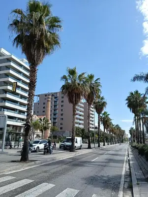a street with palm trees on the side of a road at MM4-Apto en 1ª linea de playa in Mataró